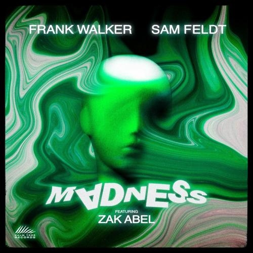 Madness - Frank Walker & Sam Feldt feat. Zak Abel