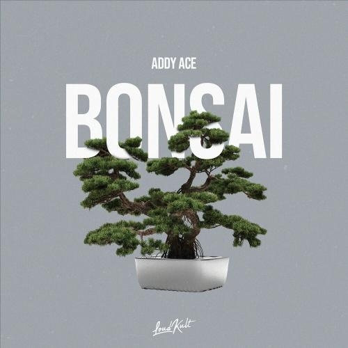 Bonsai - Addy Ace