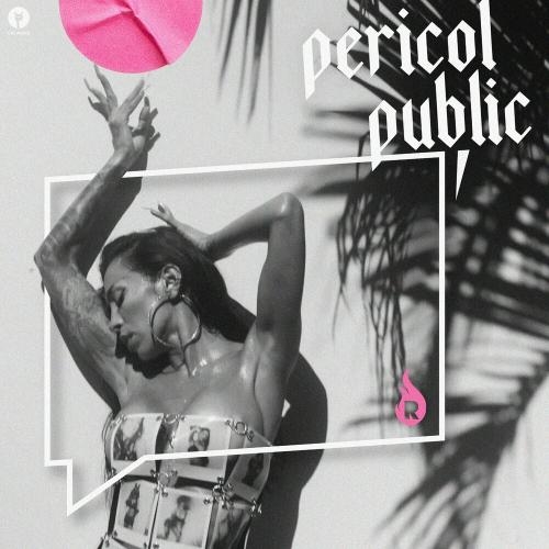 Pericol Public - Ruby