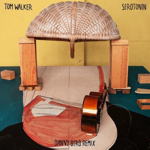 Serotonin (Danny Byrd Remix) - Tom Walker