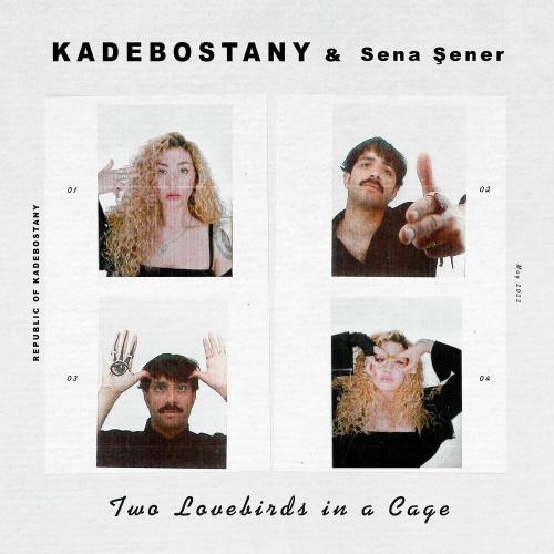 Two Lovebirds in a Cage - Kadebostany & Sena Sener