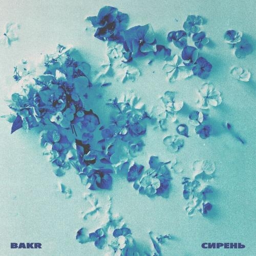 Сирень - Bakr