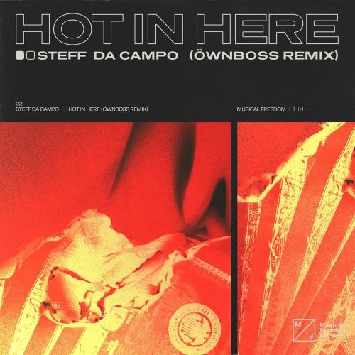 Hot In Here (Ownboss Remix) - Steff Da Campo