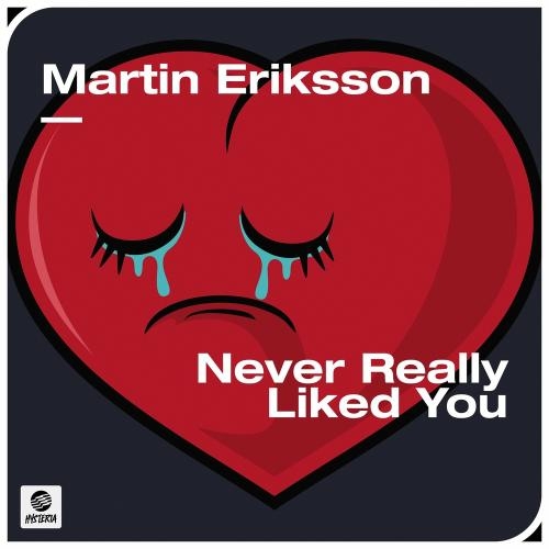 Never Really Liked You - Martin Eriksson