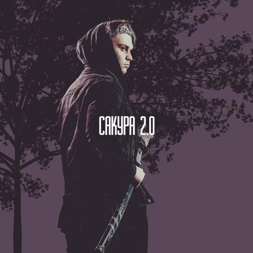 Сакура 2.0 - DKART