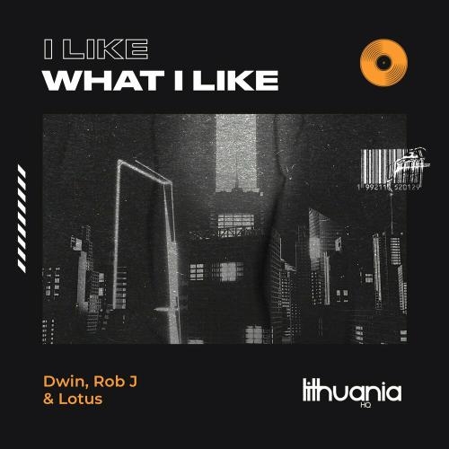 I Like What I Like - Dwin, Rob J & Lotus