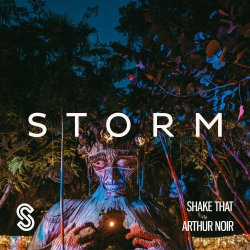 Shake That - Arthur Noir