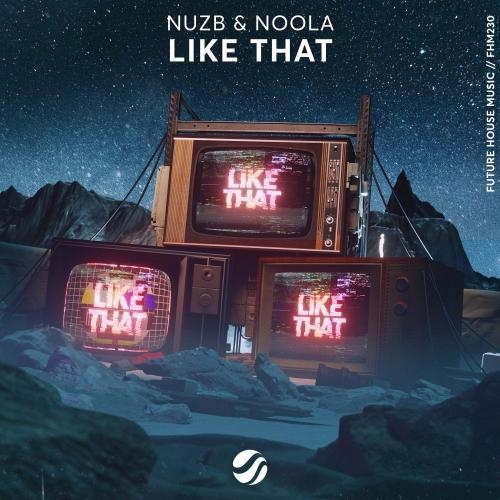 Like That - Nuzb feat. Noola