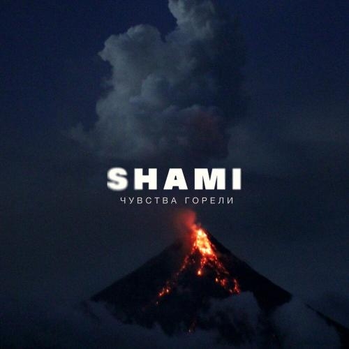 Чувства горели - Shami