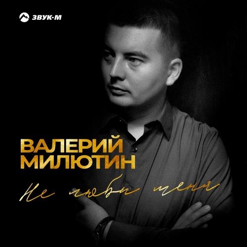 Не Люби Меня - Валерий Милютин