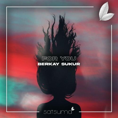 For You - Berkay Şükür