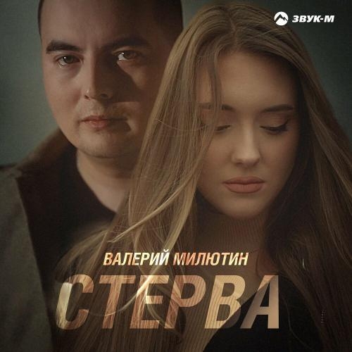 Стерва - Валерий Милютин