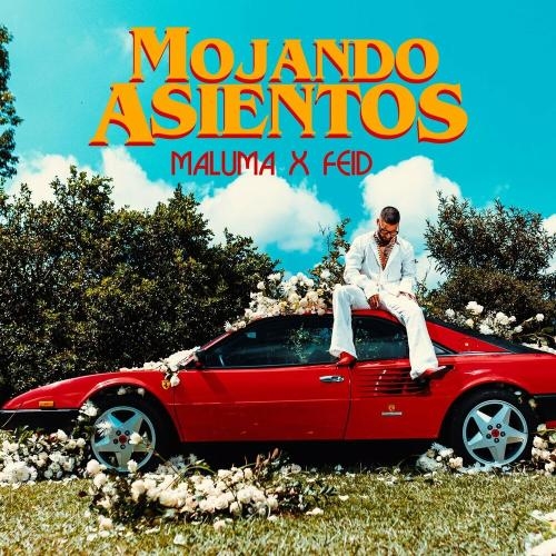 Mojando Asientos - Maluma feat. Feid