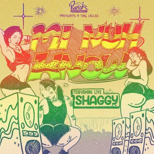 Mi Nuh Know (Radio Edit) - Shaggy