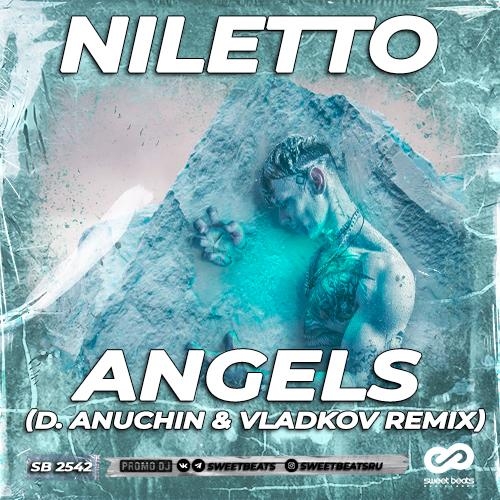 Angels (D. Anuchin & Vladkov Radio Edit) - Niletto