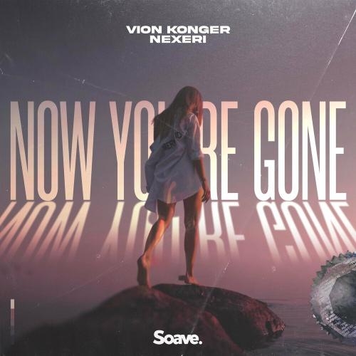 Now You Are Gone - Vion Konger feat. Nexeri