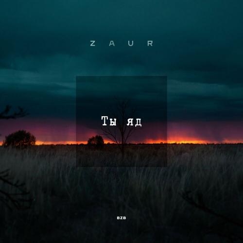 Ты Яд - Zaur