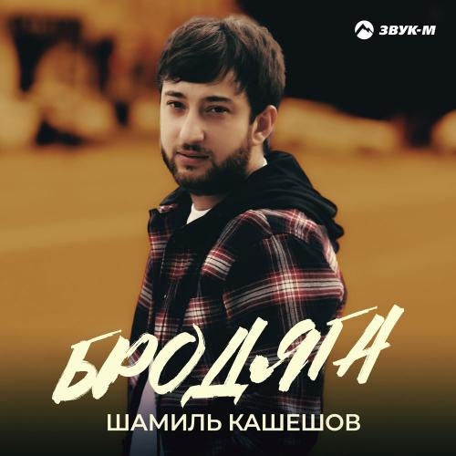 Бродяга - Шамиль Кашешов