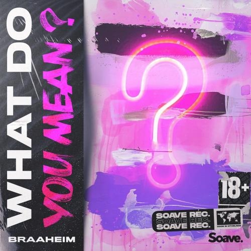 What Do You Mean - Braaheim